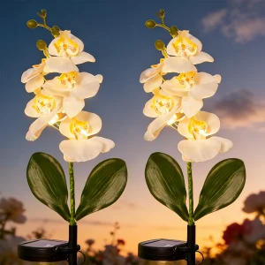 lanterne solaire orchidée
