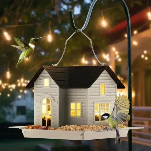 lanterne maison d'oiseau